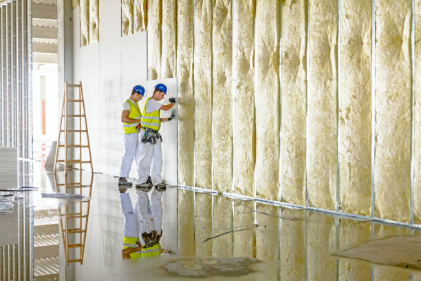 Best Affordable Insulation Services  in Harbor Isle, NY